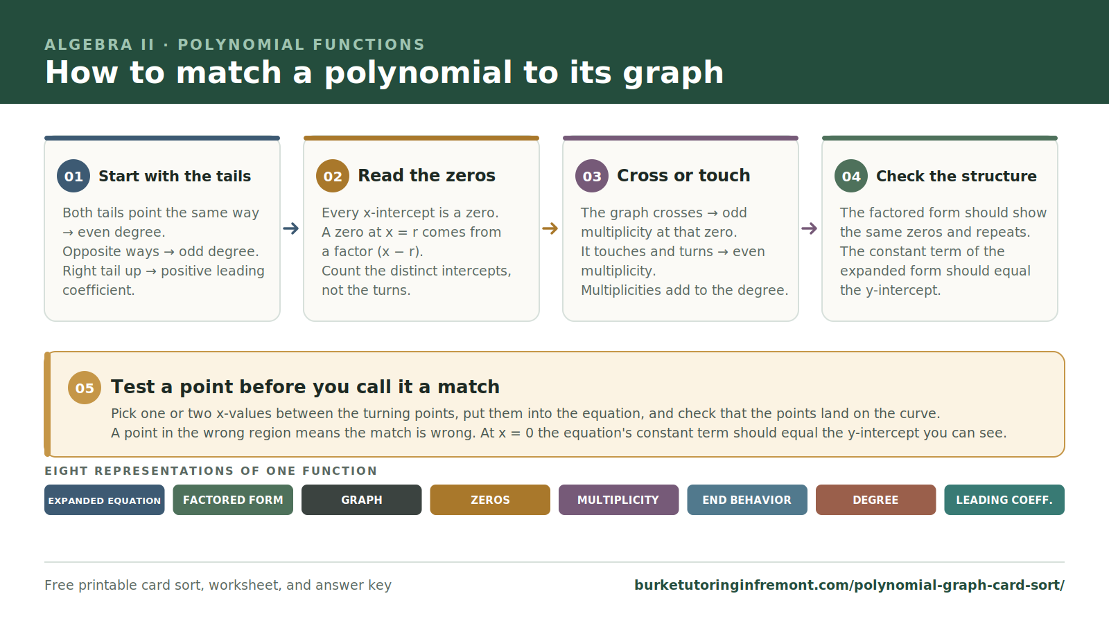 Decision map for matching a polynomial graph: read zeros from the x-intercepts, use cross or touch behavior to get multiplicity, use the two tails to get degree parity and the sign of the leading coefficient, then confirm with the factored and expanded forms